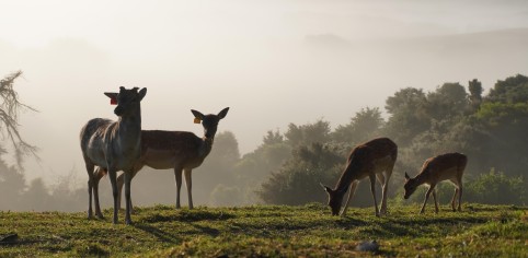 Iryna Uriupina Family first