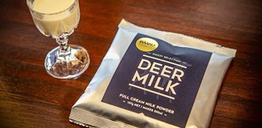 Pamu Deer Milk teaser image for website
