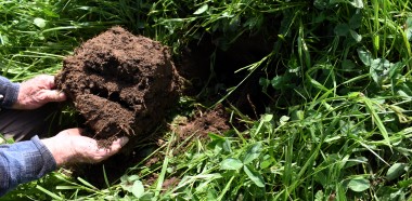 Soil testing