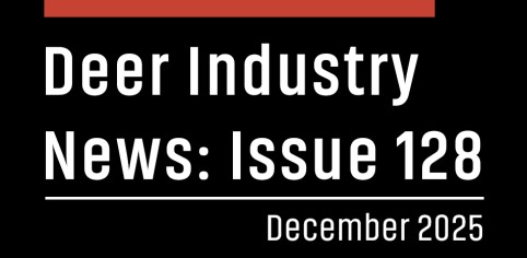 DIN magazine Landing page image v2