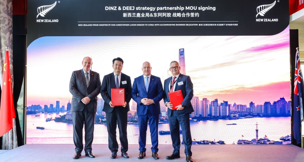 DINZ DEEJ media release