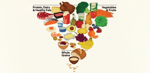Dietary Guidelines Pyramid 2025 2030