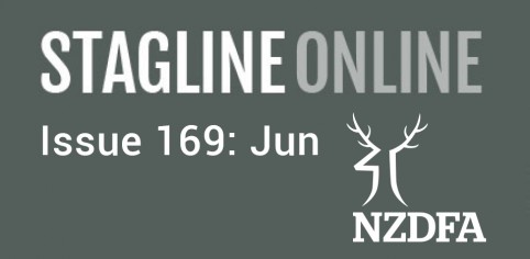 Stagline Online Landing page image issue169