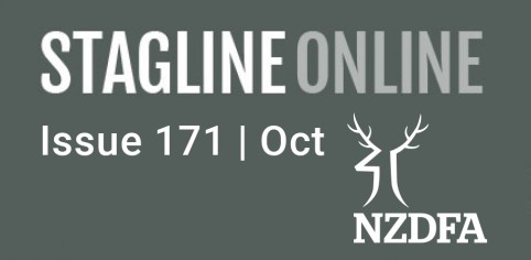Stagline Online Landing page image Oct 21