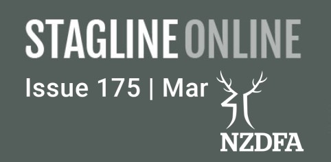 Stagline Online Landing page image Issue 175 Mar 22