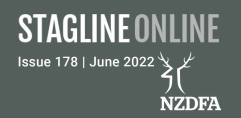Stagline Online Landing page image 178 June 2022